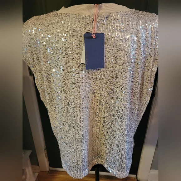 Skies Are Blue Silver Sequin Blouse - Picture 3 of 4